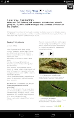 Fish Diseases android App screenshot 12