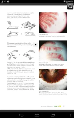 Fish Diseases android App screenshot 15