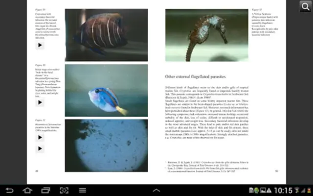 Fish Diseases android App screenshot 1