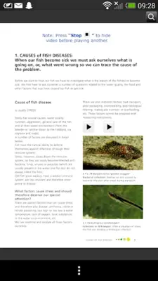 Fish Diseases android App screenshot 23