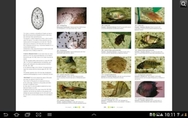 Fish Diseases android App screenshot 3