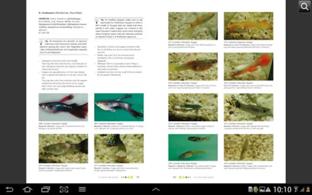 Fish Diseases android App screenshot 4